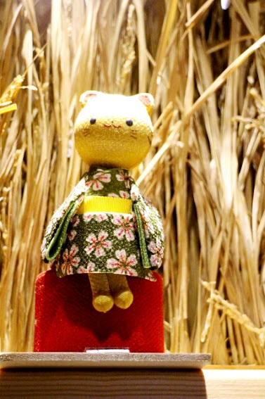 20251108-slu67 20251108-slu67