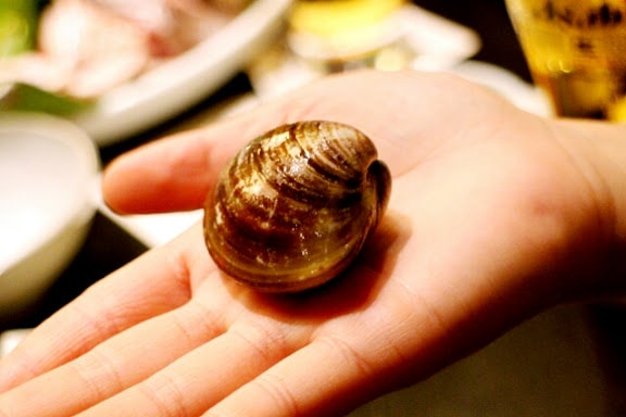 20251108-29l65 20251108-29l65