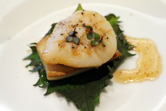 20251108-stecx 20251108-stecx