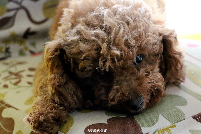 20251108-4ghyx 20251108-4ghyx