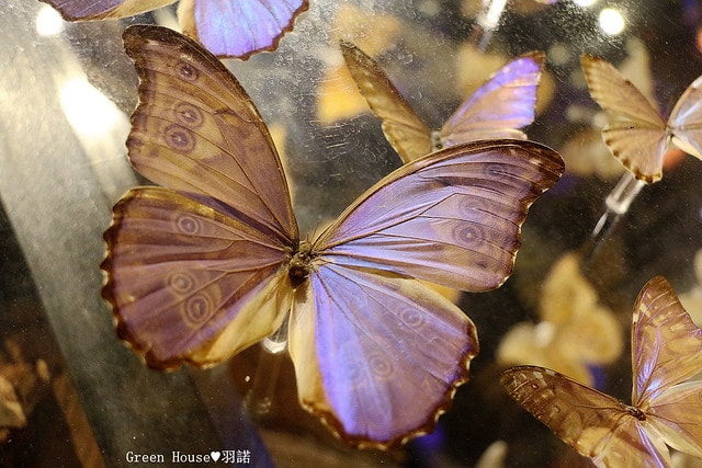 20251108-7oebv 20251108-7oebv