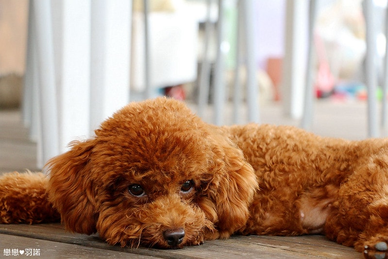 20251108-7u2ik 20251108-7u2ik