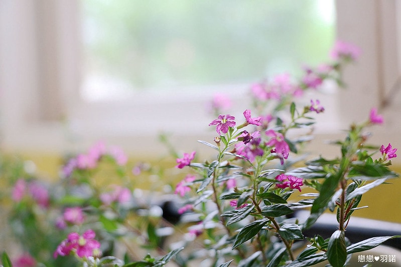 20251108-9xzoh 20251108-9xzoh