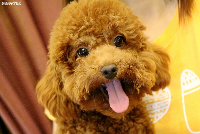 20251108-ail6c 20251108-ail6c