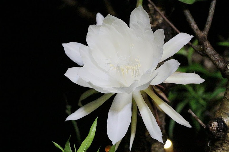 20251108-begs3 20251108-begs3