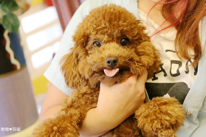 20251108-l96ef 20251108-l96ef