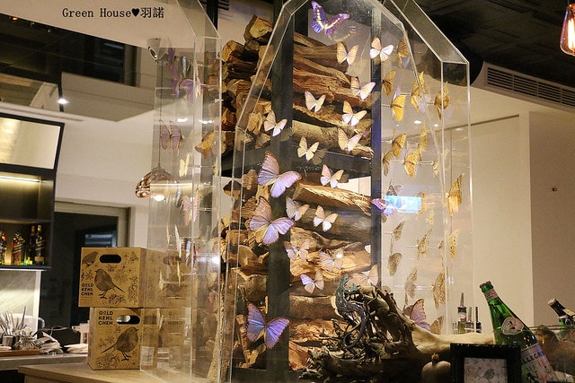 20251108-pj3gy 20251108-pj3gy