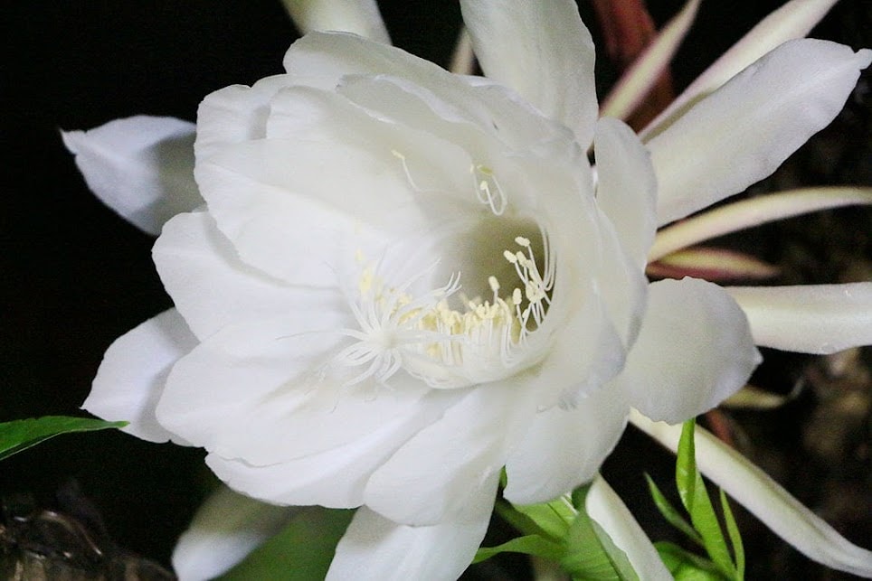 20251108-rbalo 20251108-rbalo