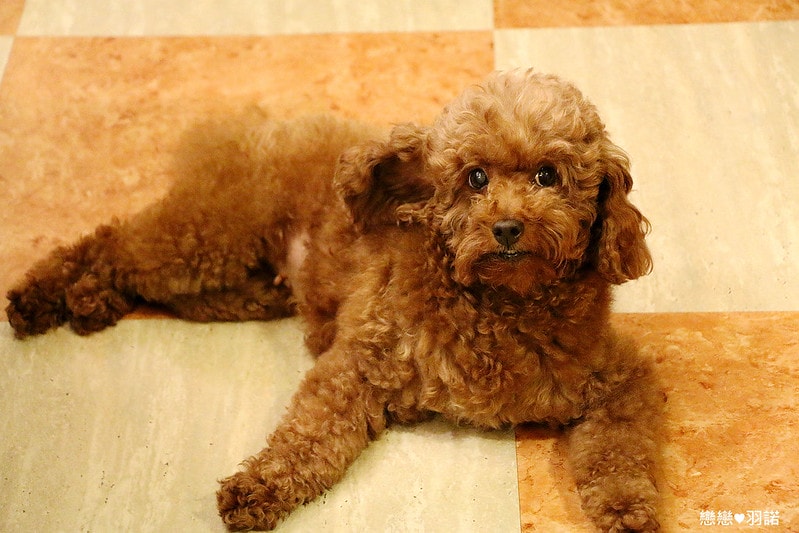 20251108-rzhd9 20251108-rzhd9