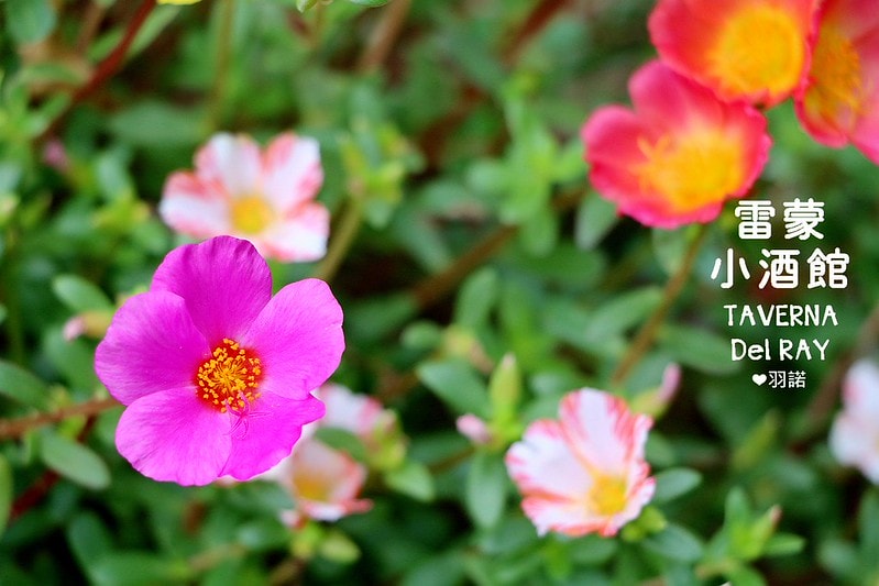 20251108-2vozn 20251108-2vozn