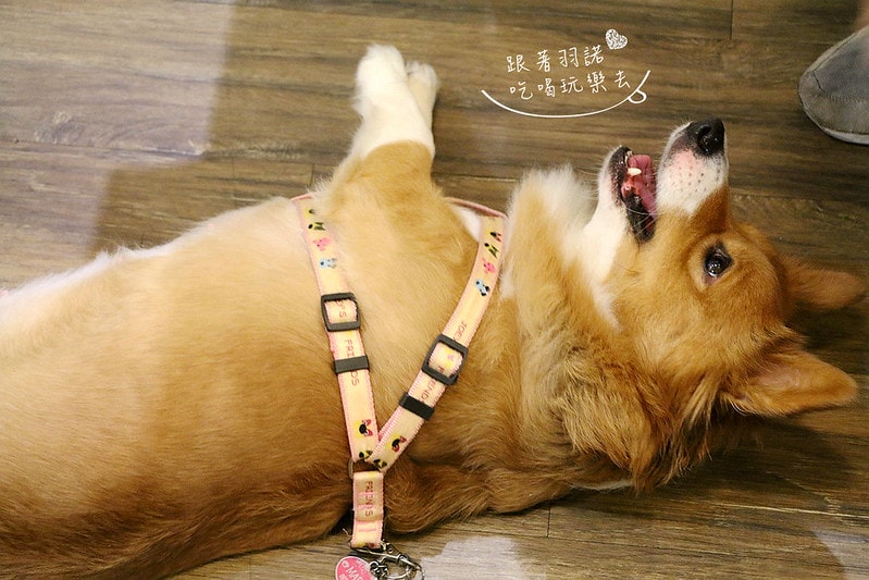 20251108-5o9cw 20251108-5o9cw