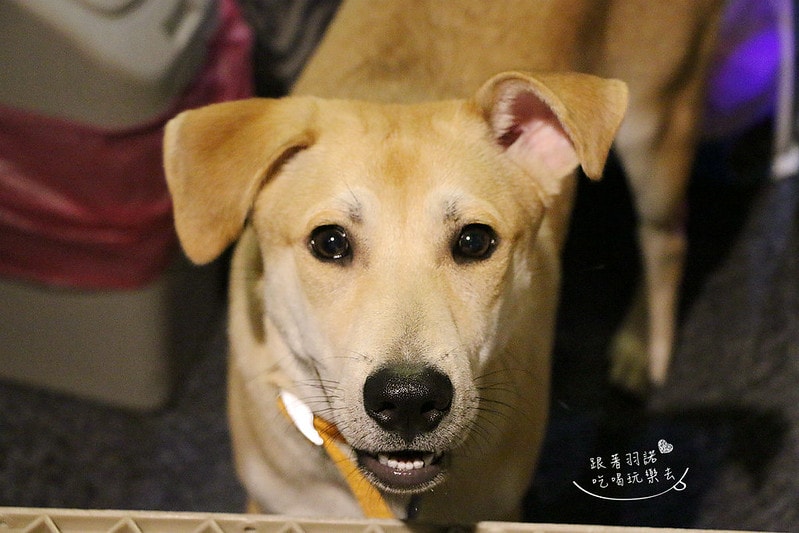 20251108-5ocfl 20251108-5ocfl