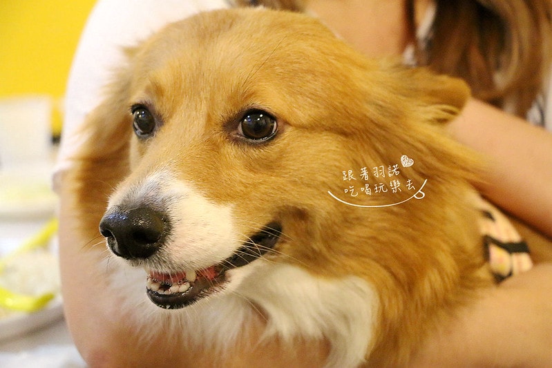 20251108-78iio 20251108-78iio