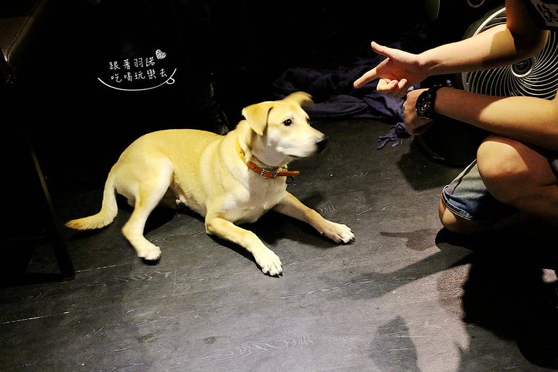 20251108-qlg05 20251108-qlg05