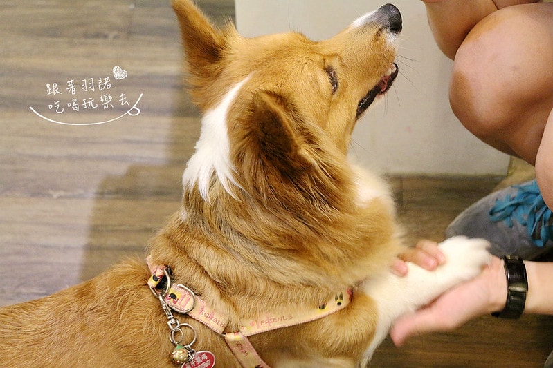 20251108-zqta0 20251108-zqta0