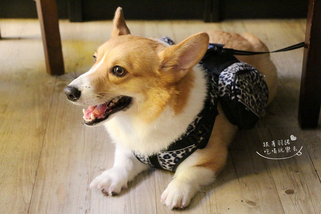 20251108-1muyp 20251108-1muyp