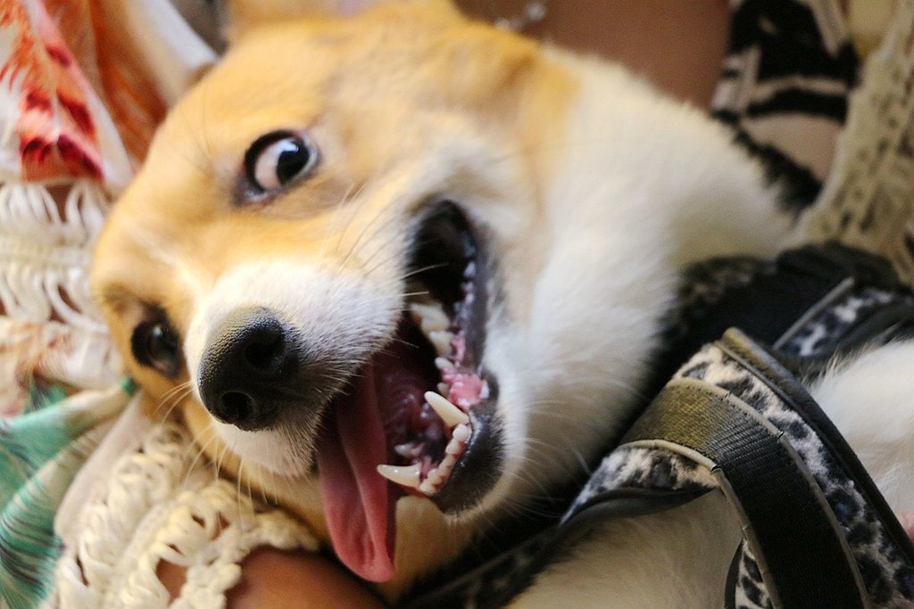 20251108-e2vtj 20251108-e2vtj