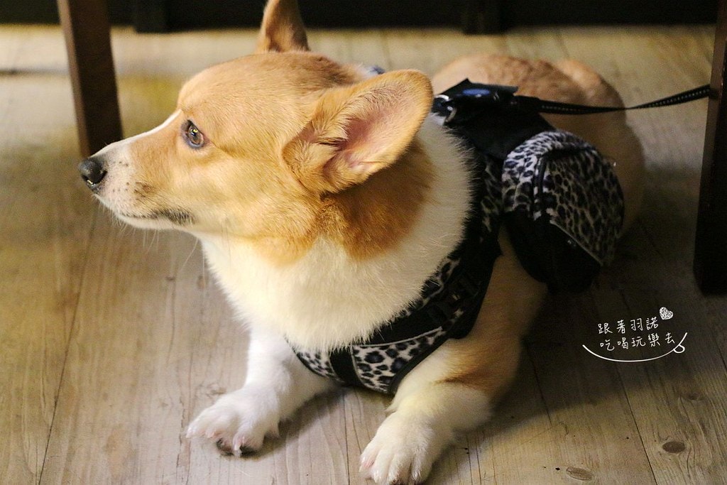 20251108-io3a7 20251108-io3a7