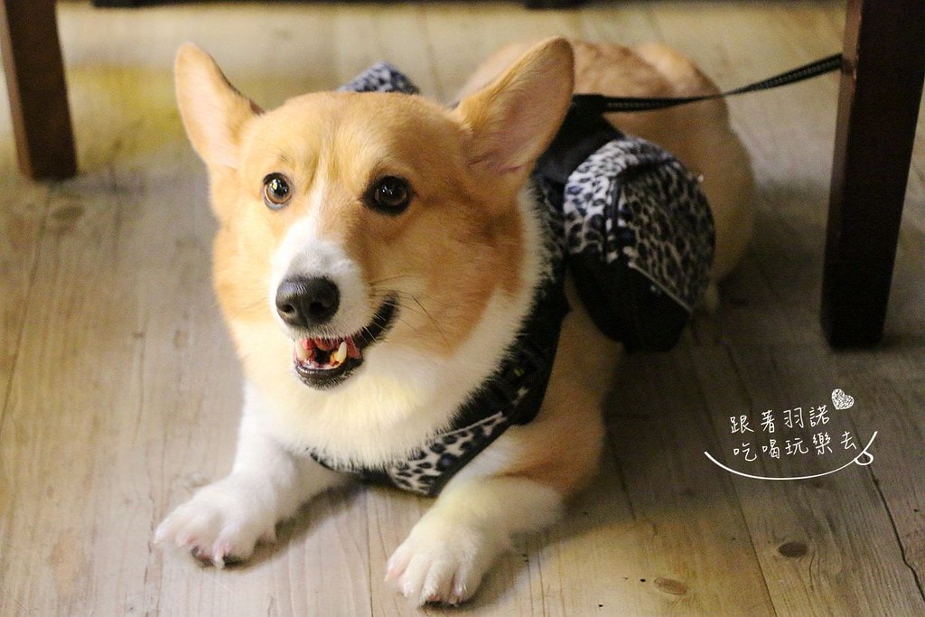 20251108-p9fmt 20251108-p9fmt