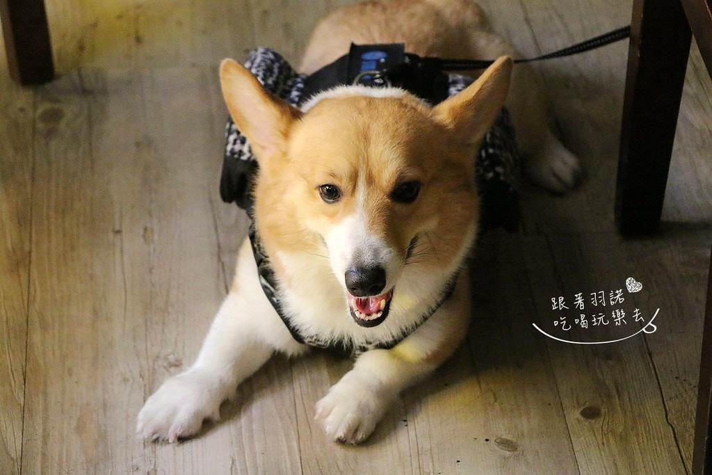 20251108-qnzif 20251108-qnzif