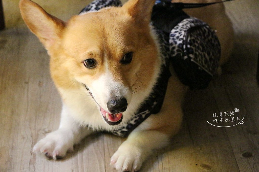 20251108-r8474 20251108-r8474