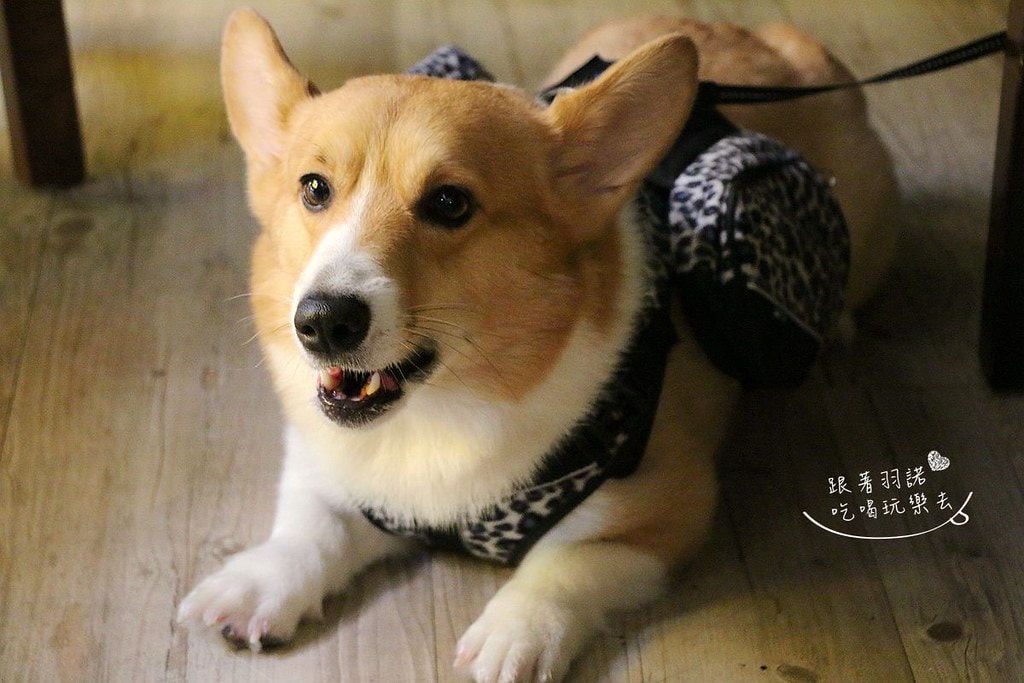 20251108-rr0eg 20251108-rr0eg