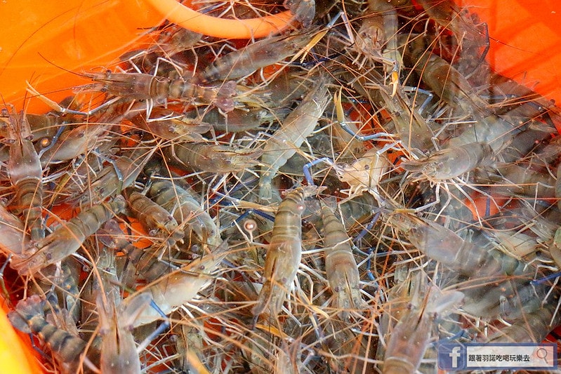 20251108-vc89s 20251108-vc89s