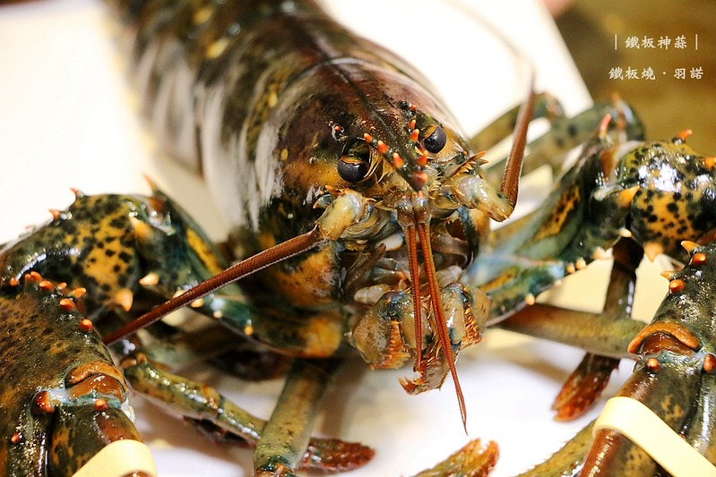 20251108-2d04b 20251108-2d04b