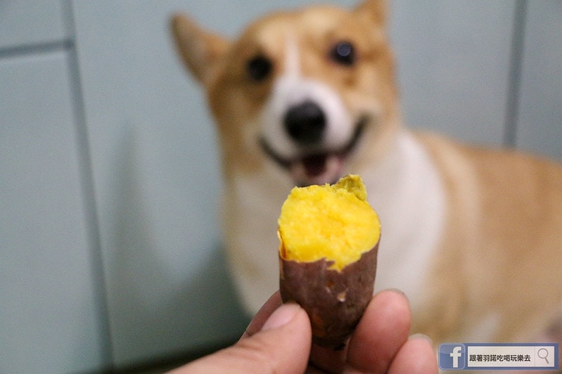 20251108-d58c1 20251108-d58c1