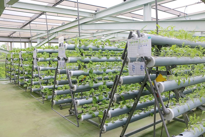 20251108-1o6et 20251108-1o6et