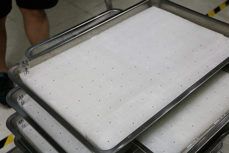 20251108-aiyh2 20251108-aiyh2