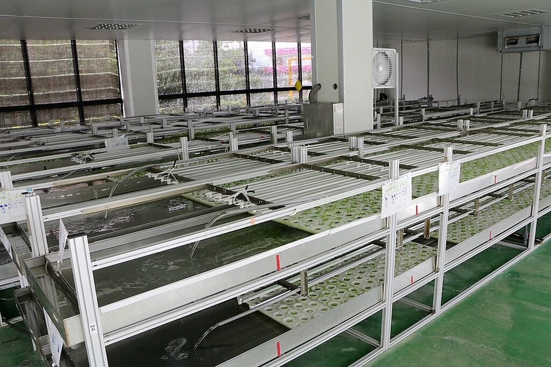 20251108-e7033 20251108-e7033