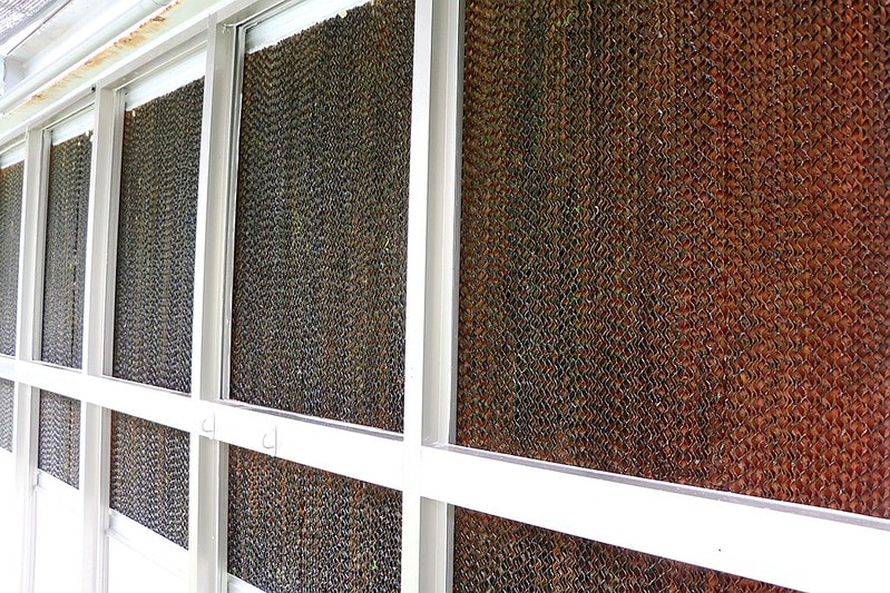 20251108-eb94j 20251108-eb94j