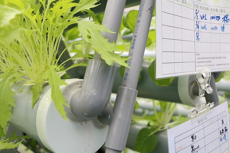 20251108-f5g9v 20251108-f5g9v