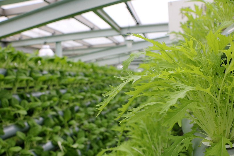 20251108-hu0q2 20251108-hu0q2