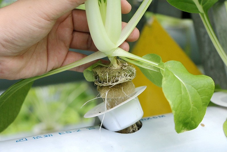 20251108-mjh4g 20251108-mjh4g