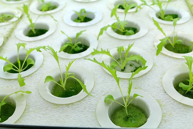 20251108-rvmh3 20251108-rvmh3