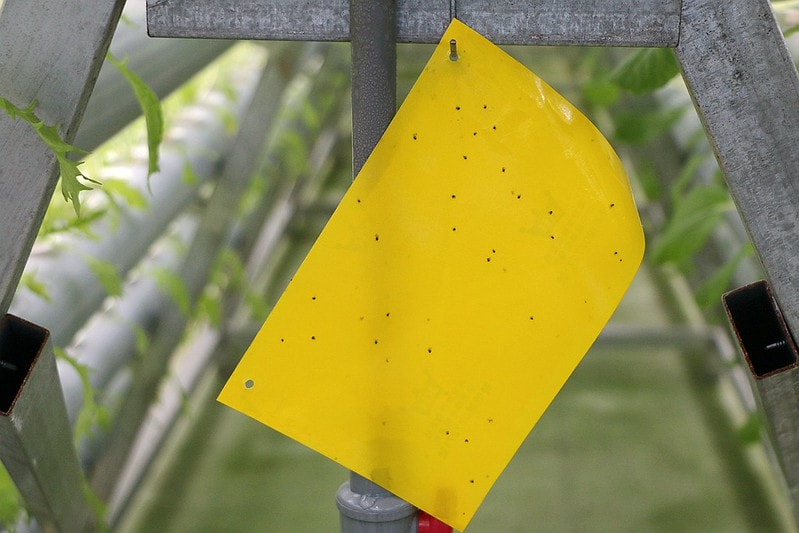 20251108-sppas 20251108-sppas