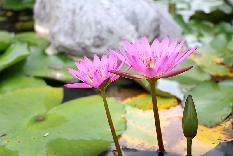 20251108-uyma4 20251108-uyma4