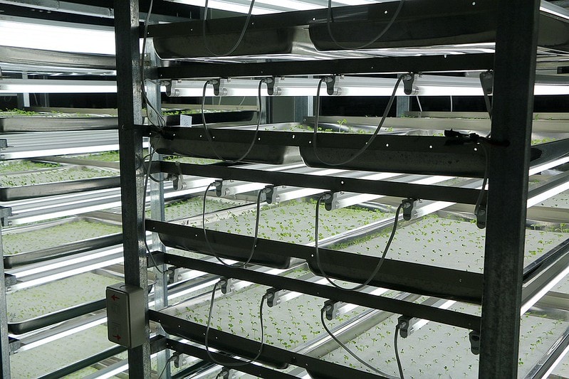 20251108-xxyx4 20251108-xxyx4