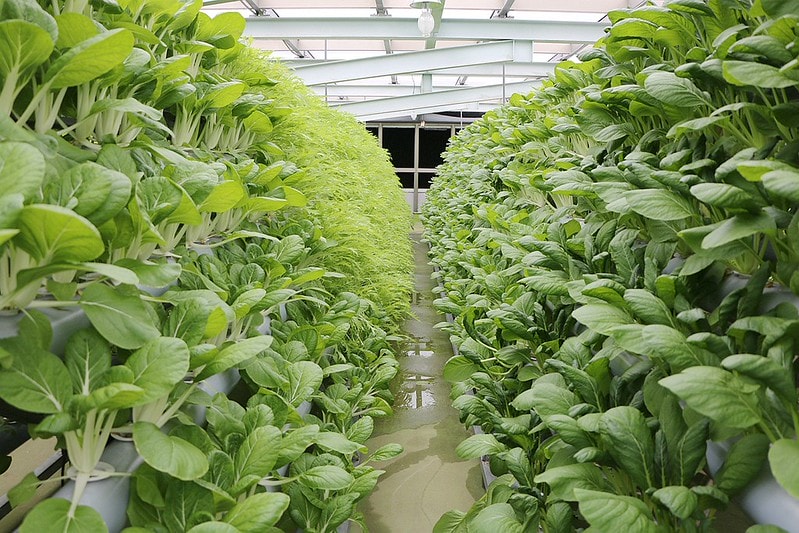 20251108-yr81b 20251108-yr81b