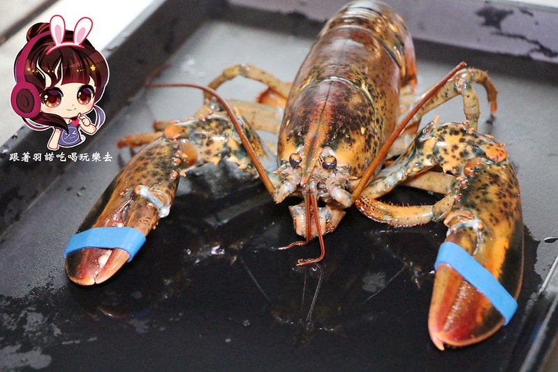 20251108-d169z 20251108-d169z