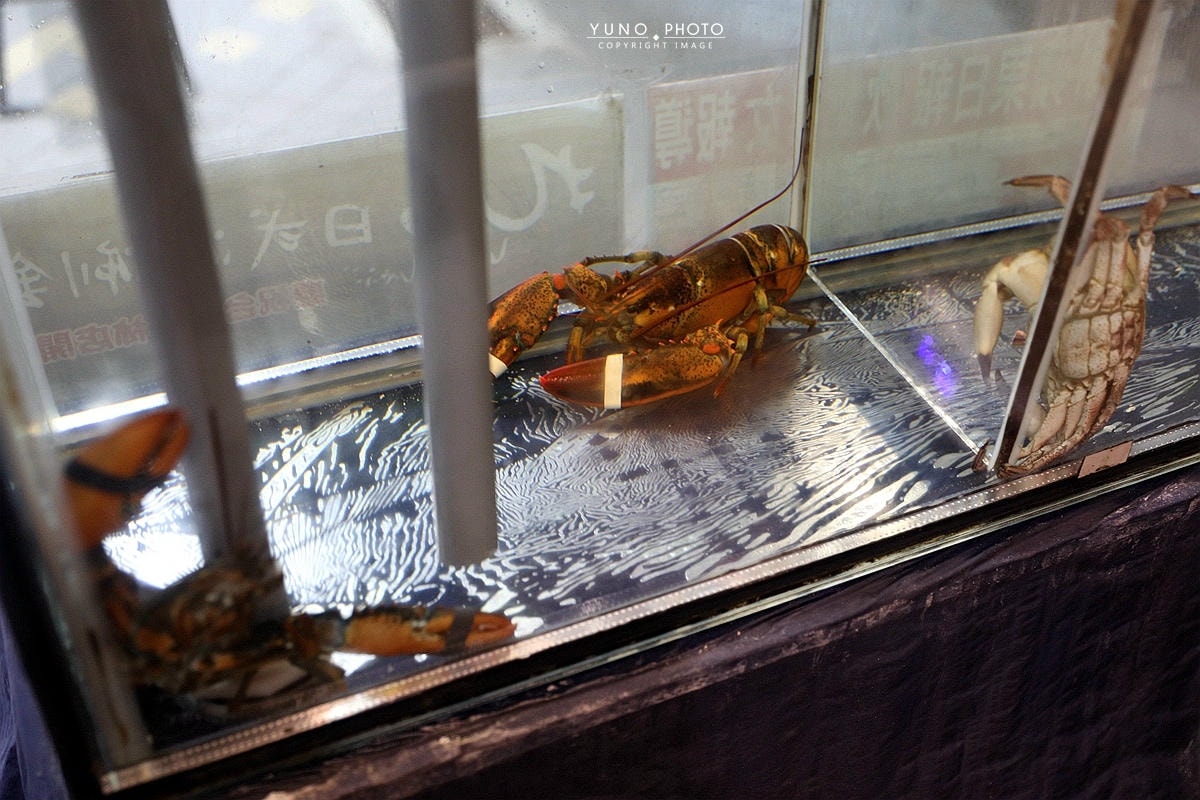 20251109-pdzyj 20251109-pdzyj