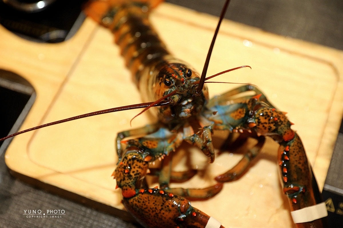 20251109-w3kih 20251109-w3kih