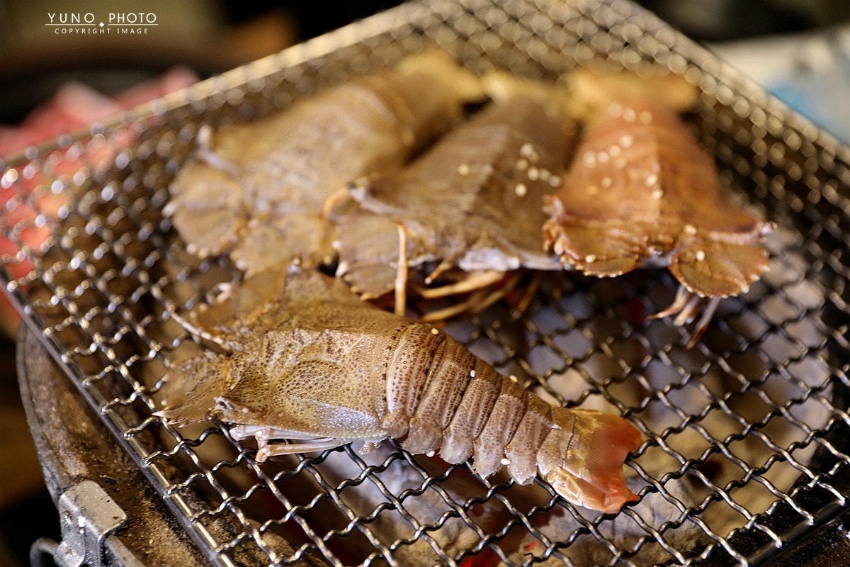 20251109-qqkk2 20251109-qqkk2