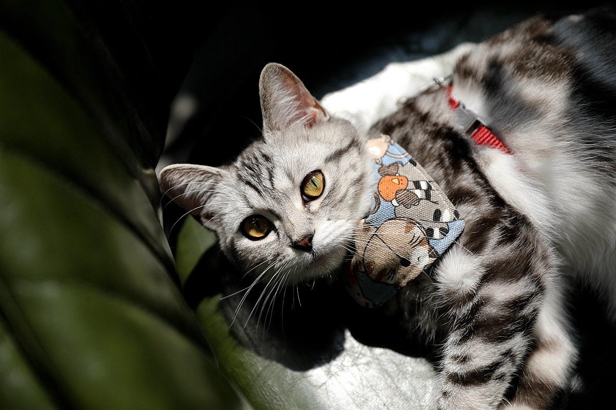 20251109-16mdn 20251109-16mdn