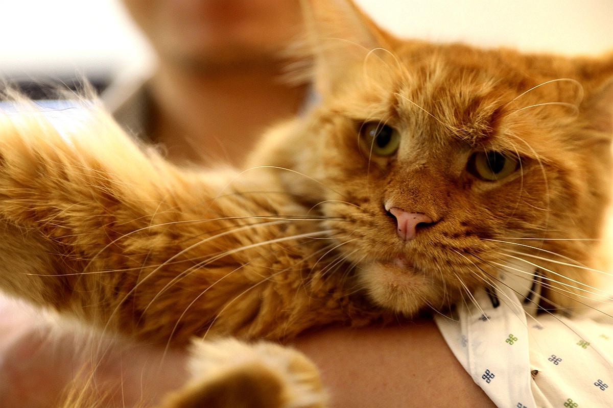 20251109-23gn0 20251109-23gn0