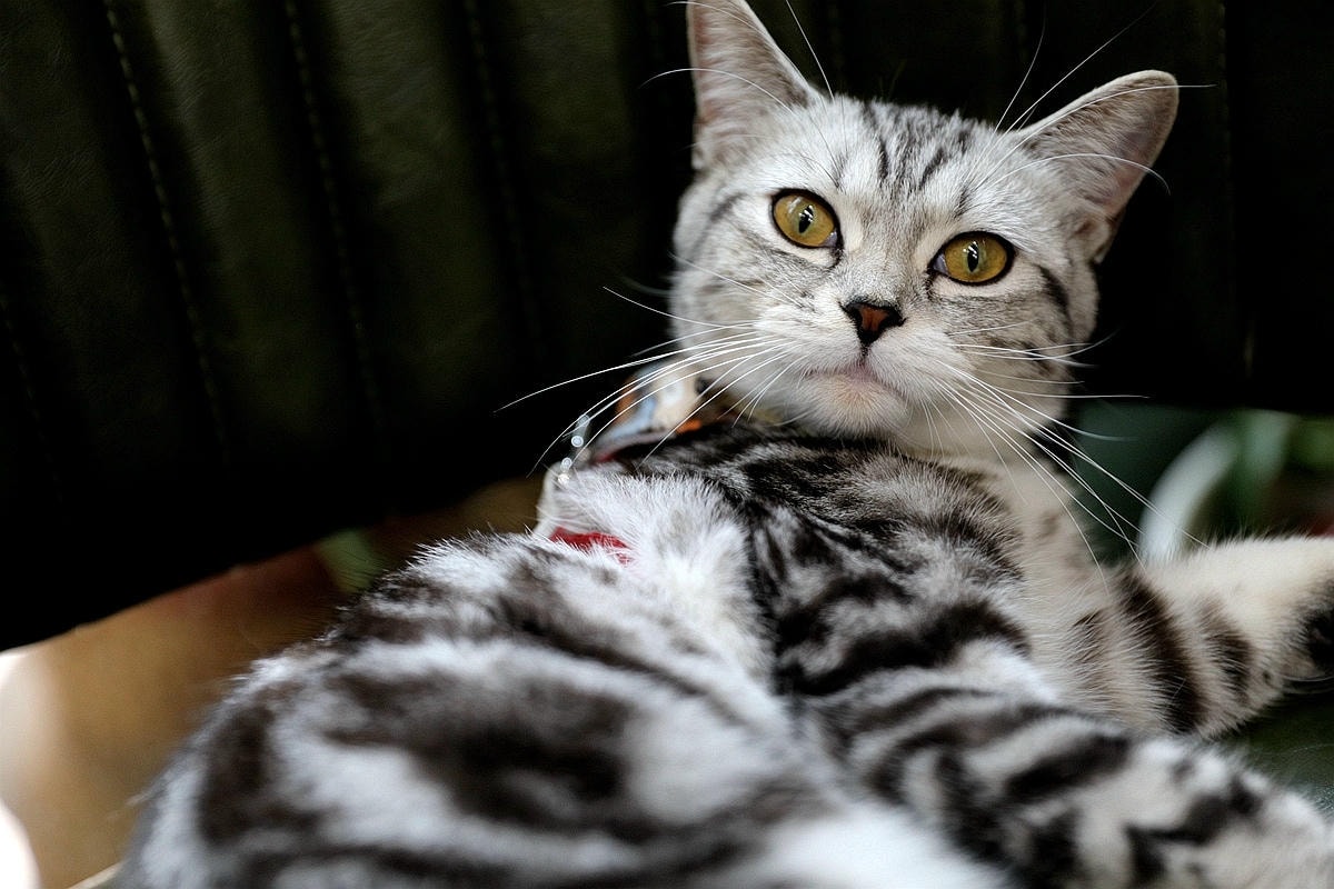 20251109-8urlh 20251109-8urlh