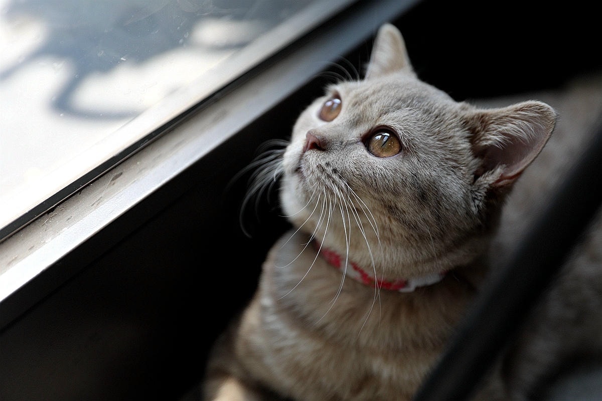 20251109-fltf4 20251109-fltf4