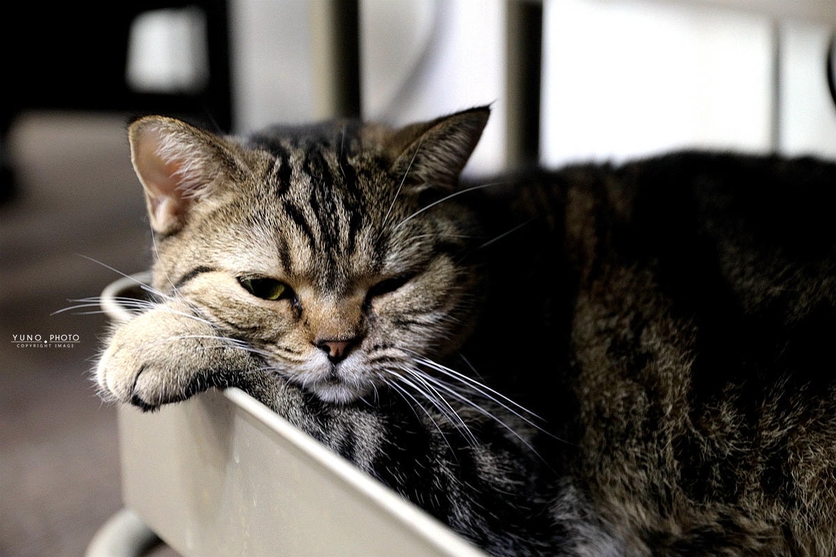 20251109-k7gp0 20251109-k7gp0